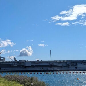 The French Navy's confidence in us validates our vision of making counter-UAV combat accessible, integrated and operational.